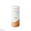 Kommunionkerze Holzelement Docht Regenbogenfische Ø8 x 20 cm