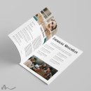 Abiturzeitung Plakativ