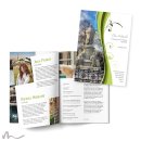 Abiturzeitung Ametrin