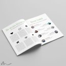 Abiturzeitung Farbwahl